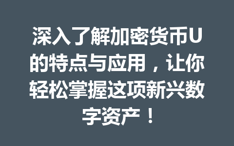 深入了解加密货币U的特点与应用，让你轻松掌握这项新兴数字资产！