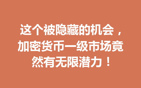 这个被隐藏的机会，加密货币一级市场竟然有无限潜力！