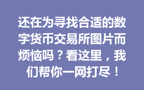 还在为寻找合适的数字货币交易所图片而烦恼吗?看这里,我们帮你一网打尽!