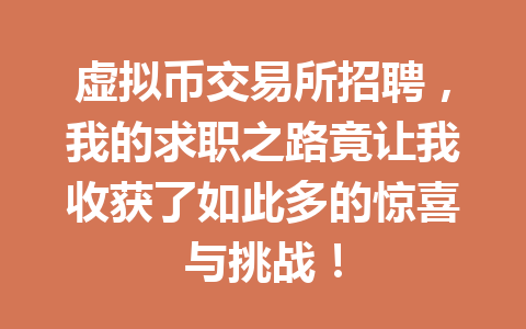 虚拟币交易所招聘，我的求职之路竟让我收获了如此多的惊喜与挑战！