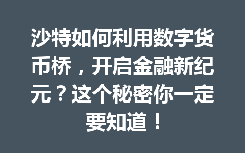 沙特如何利用数字货币桥,开启金融新纪元?这个秘密你一定要知道!