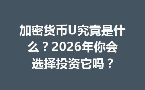 加密货币U究竟是什么？2026年你会选择投资它吗？