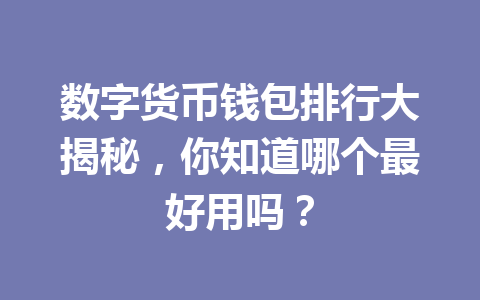 数字货币钱包排行大揭秘,你知道哪个最好用吗?