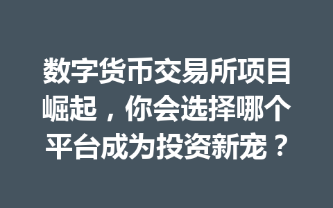 数字货币交易所项目崛起，你会选择哪个平台成为投资新宠？